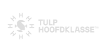 tulp-hoofdklasse